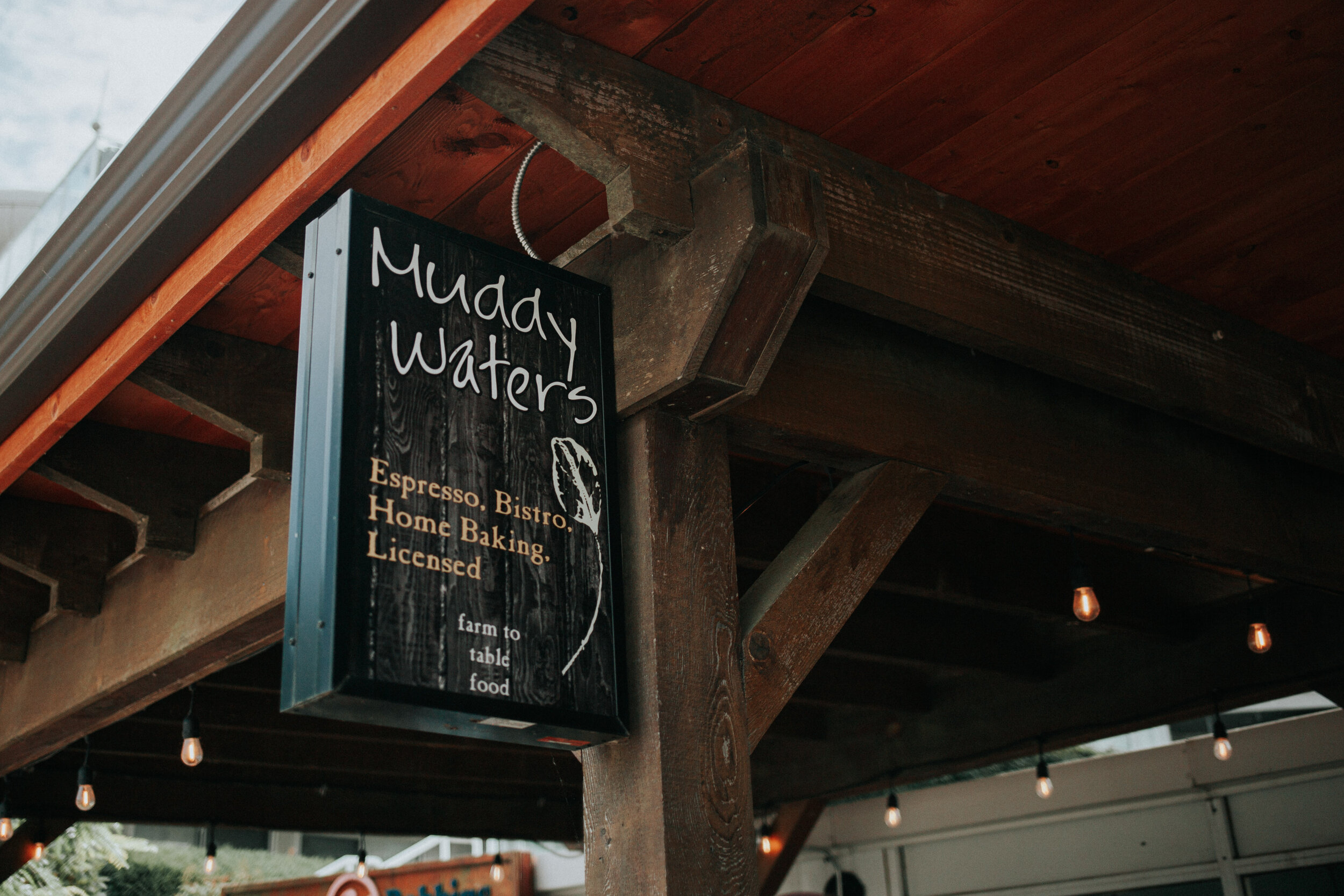 TFV MuddyWatersCafe (0 Of 4)