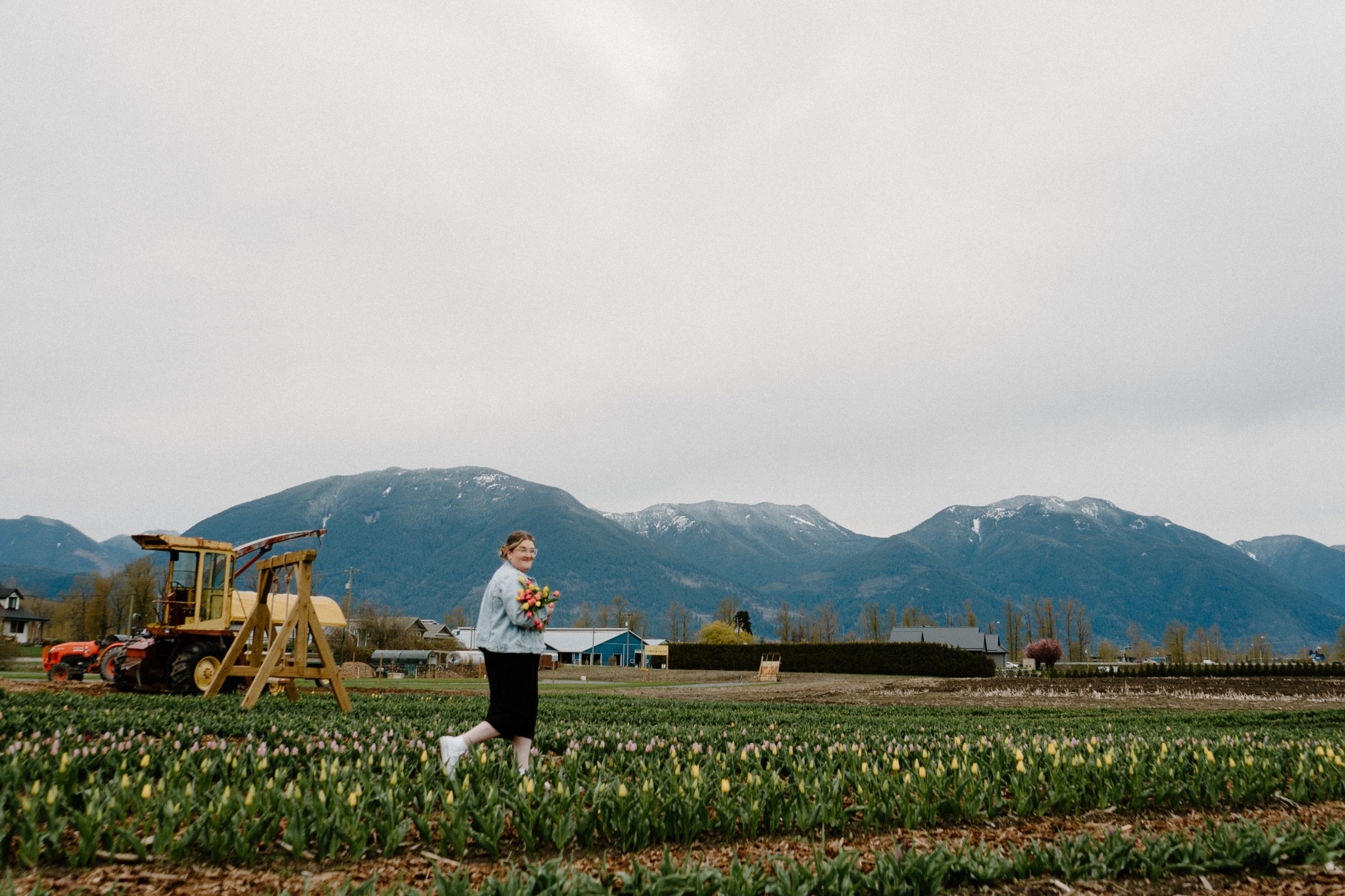 Chilliwack Greendale Acres Sweet Spring Flowers