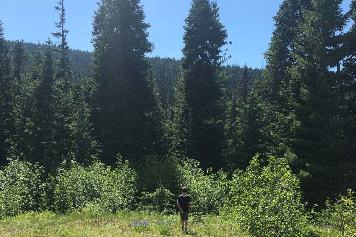 Coquihalla