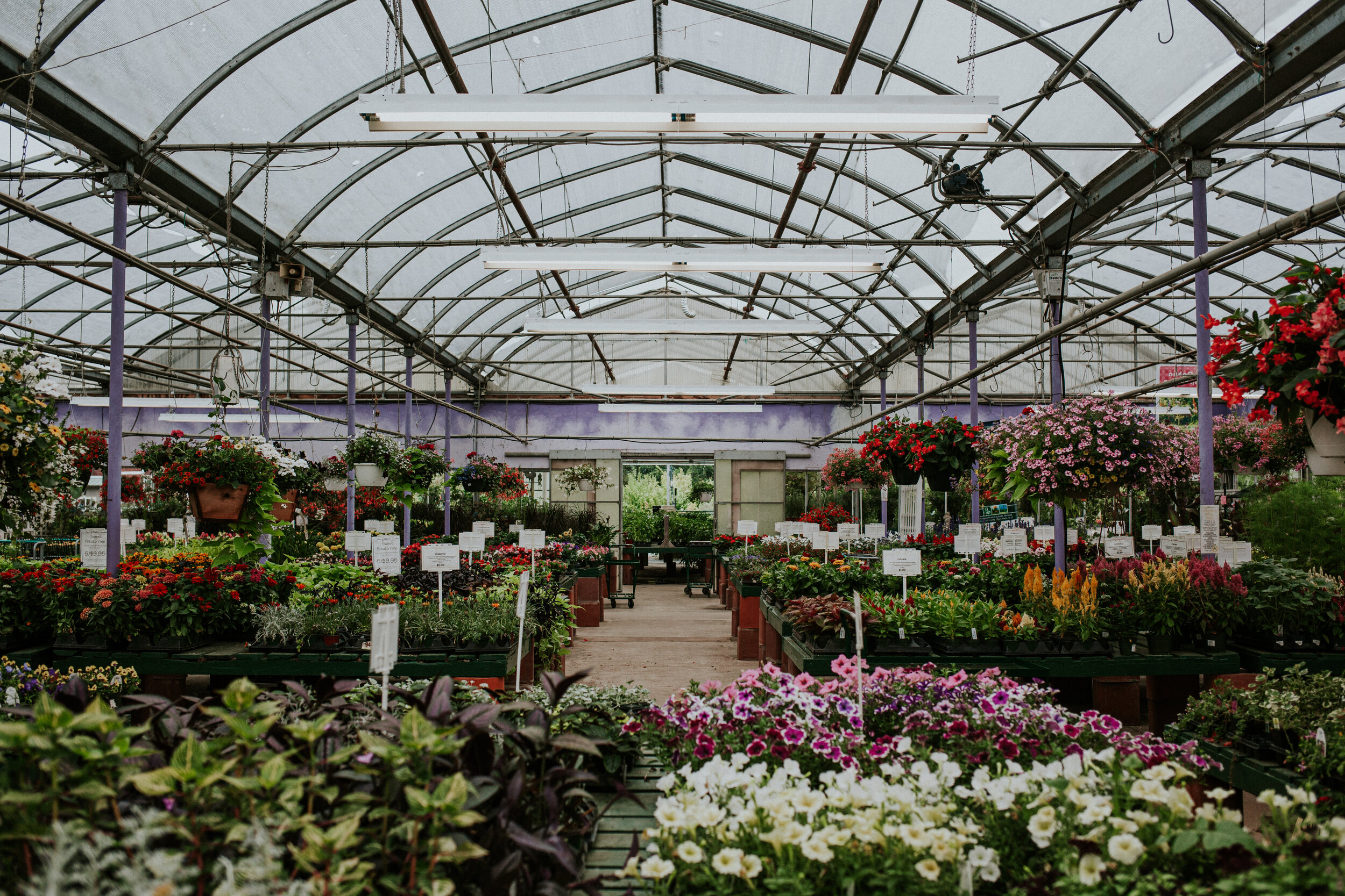 TFV_MinterGardens_Selects+(55+of+67)