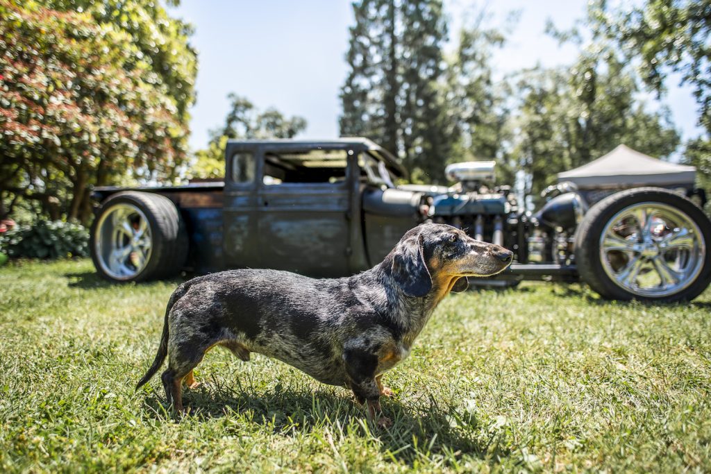 Mission Old Car Sunday
