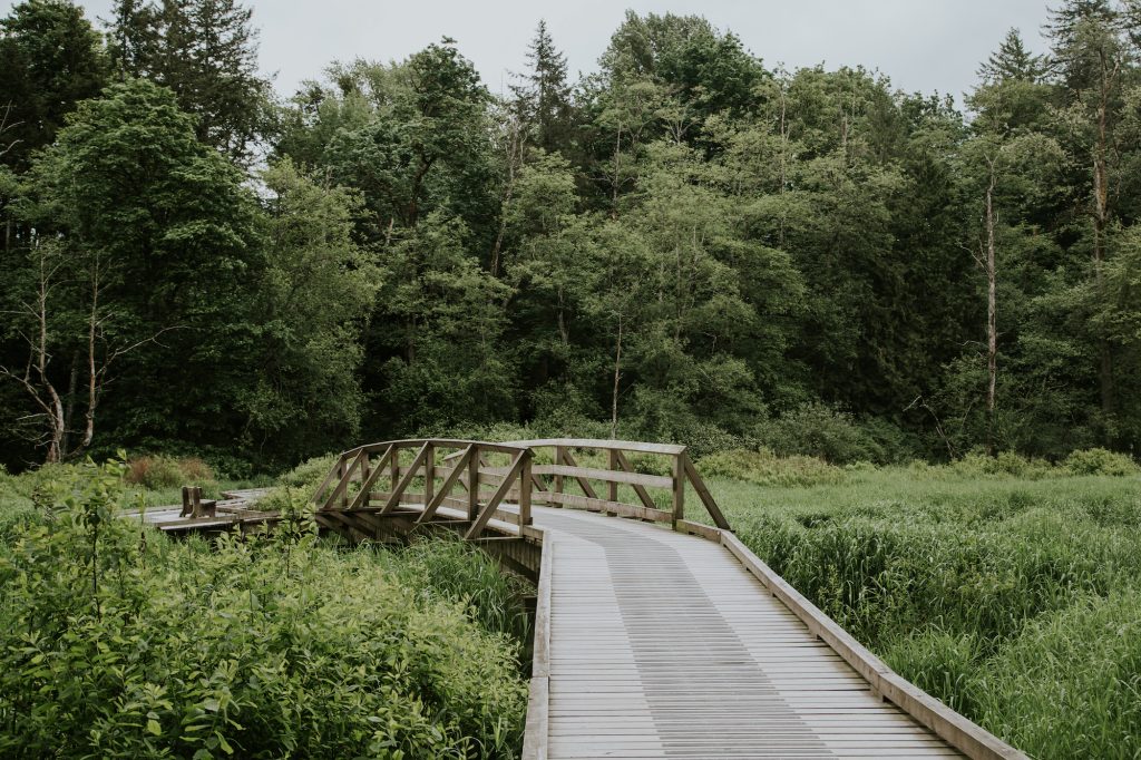 Campbell Valley Park