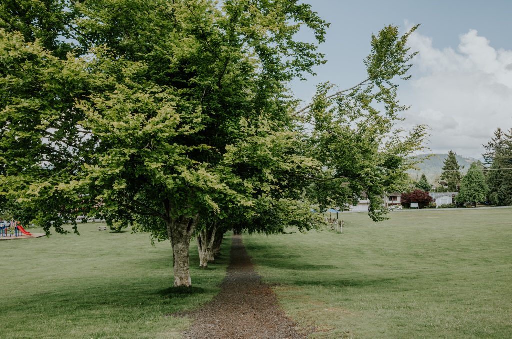 Griner Park