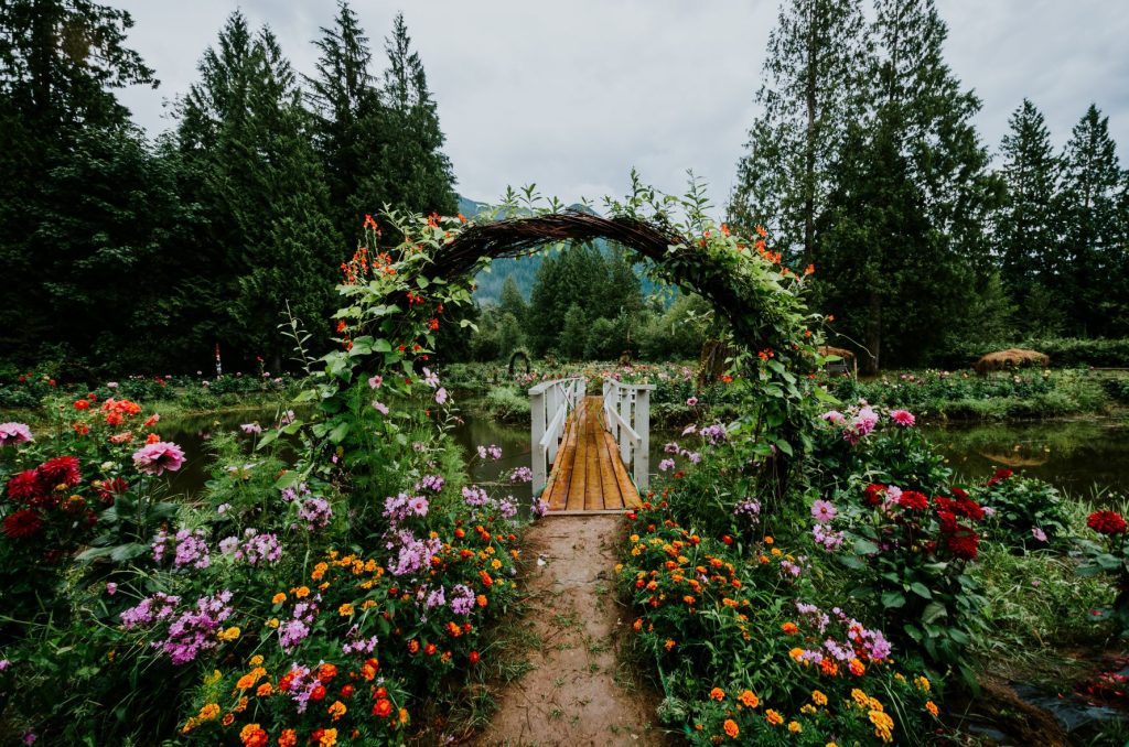 Shangrila Farms