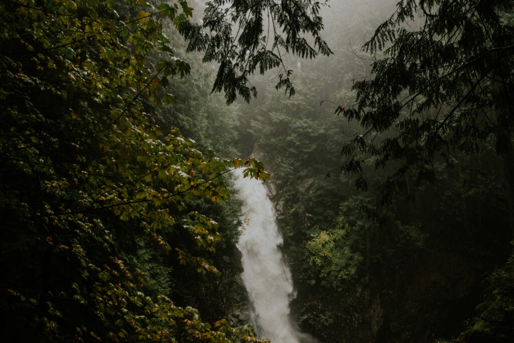 DSC_0044