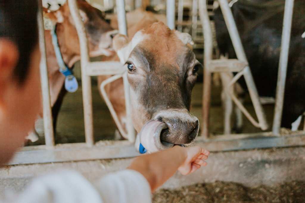 TFV_EcoDairy (13 of 41)
