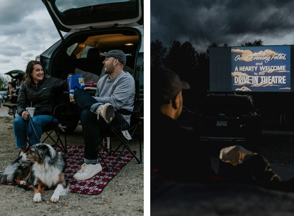 twilight drive-in decreased