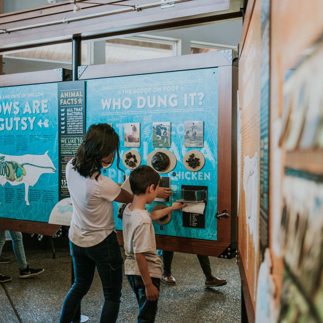 a mother and child interact with a display