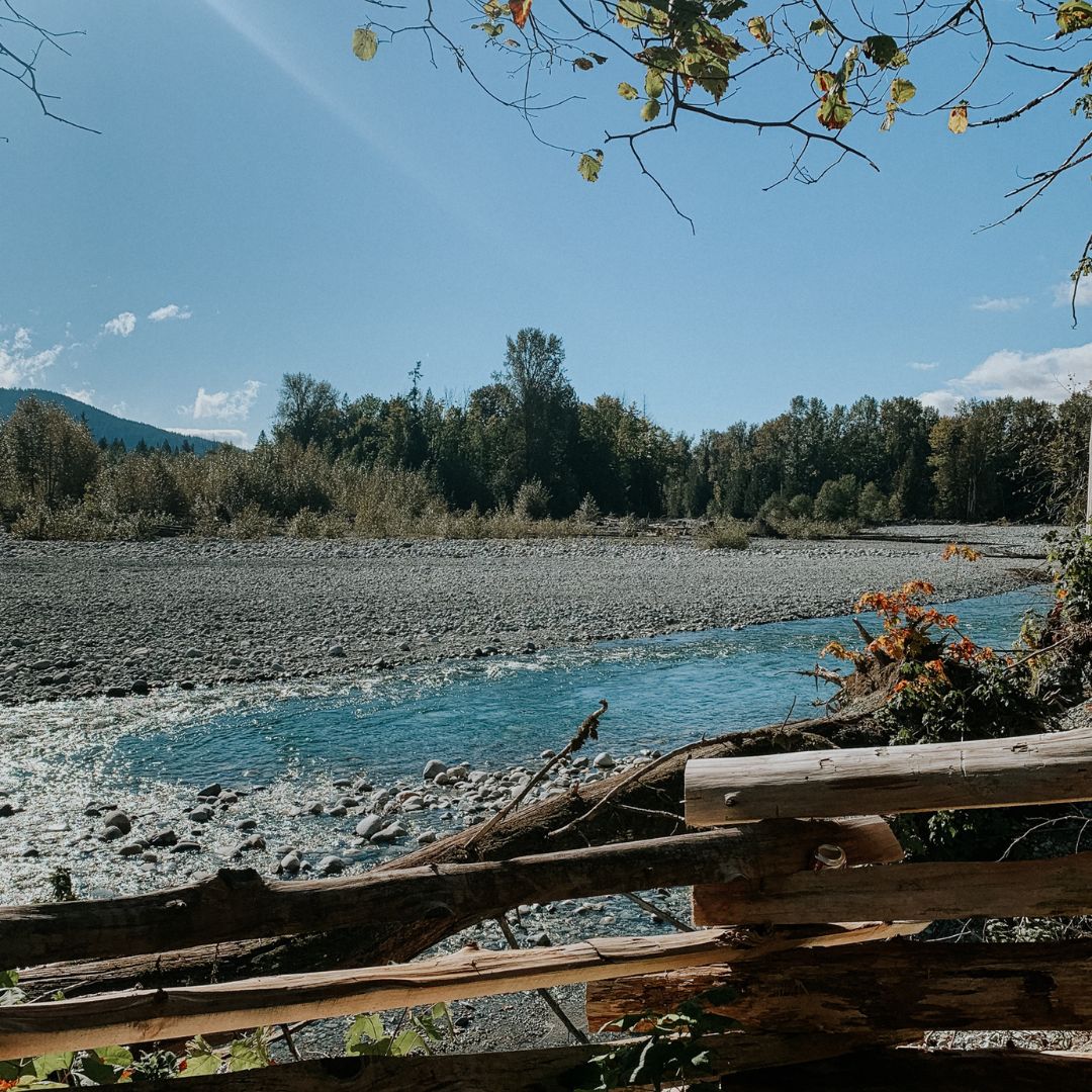 a rocky river shore