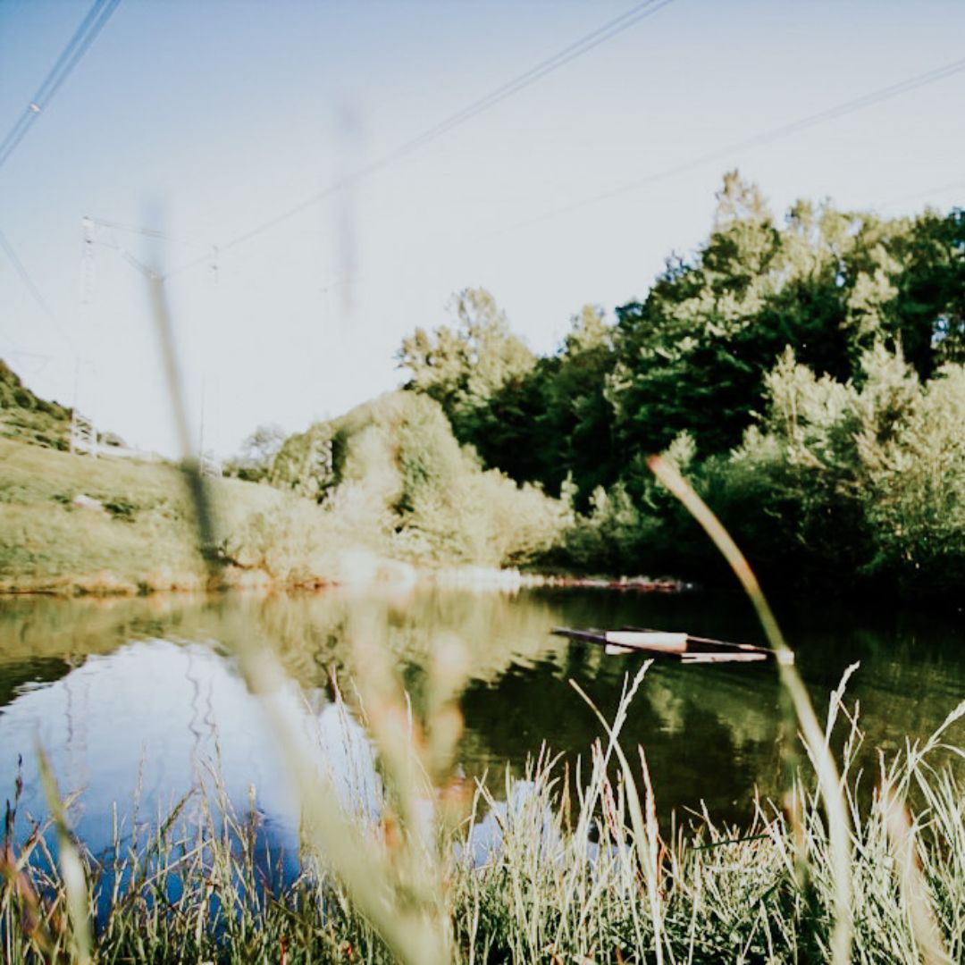 a pond along a trail