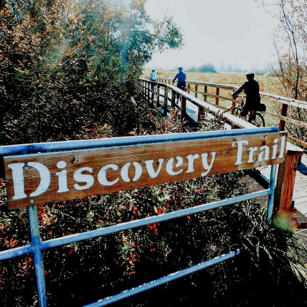 a sign that says "Discovery Trail"