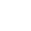 Winter snowflake icon