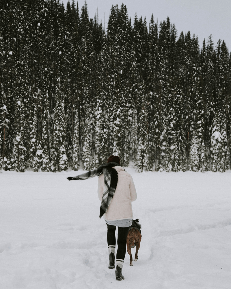Woman walking with her dog in a snow day
