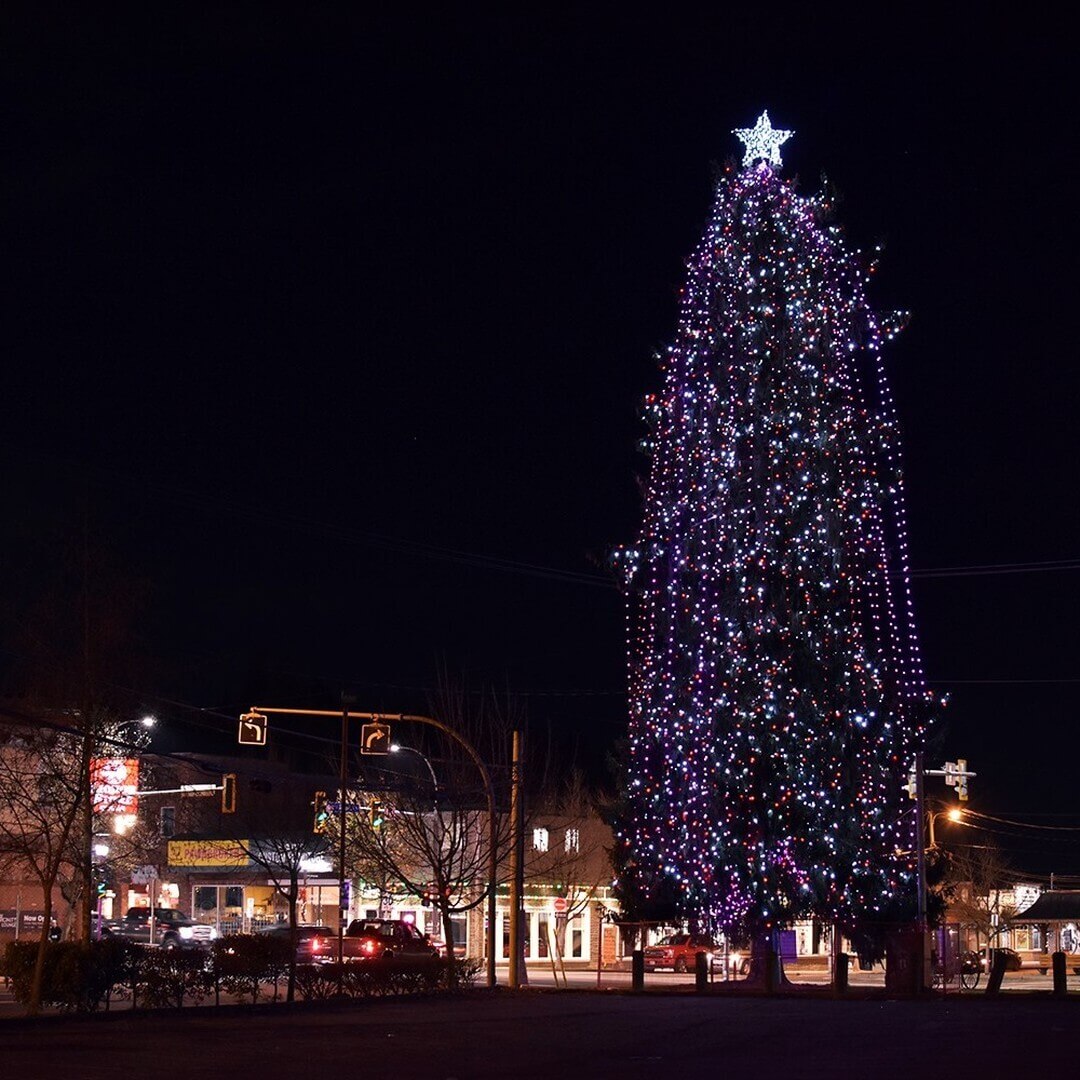 Christmas tree at night