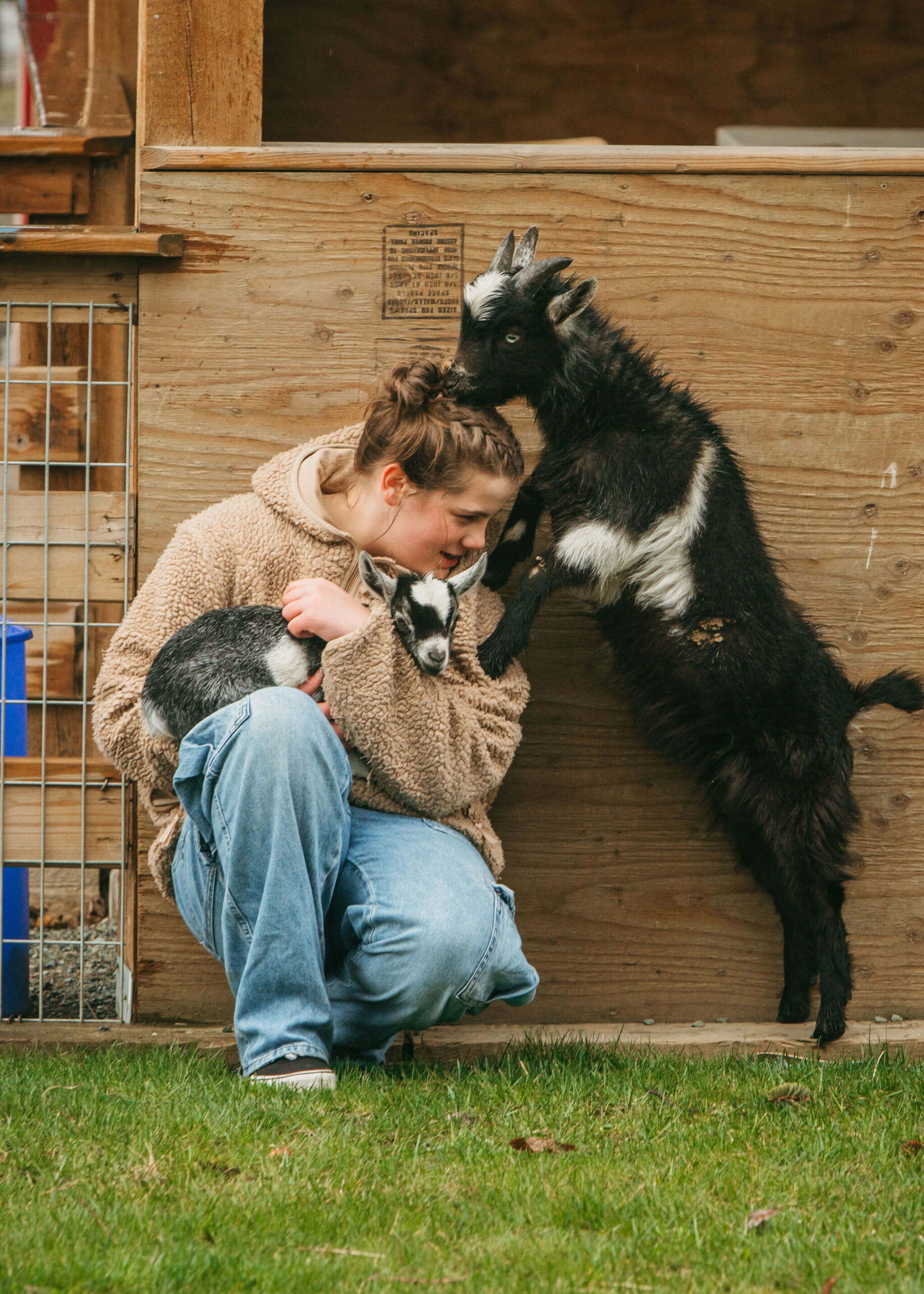 A woman gently cradling a baby goat in her arms, while a larger goat sniffs her head gently