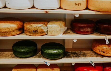 A variety of cheeses displayed on a shelf, showcasing different colors, textures, and shapes.