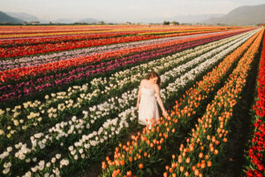 A woman walks among rows of brightly colour tulips, wearing a white sun dress.