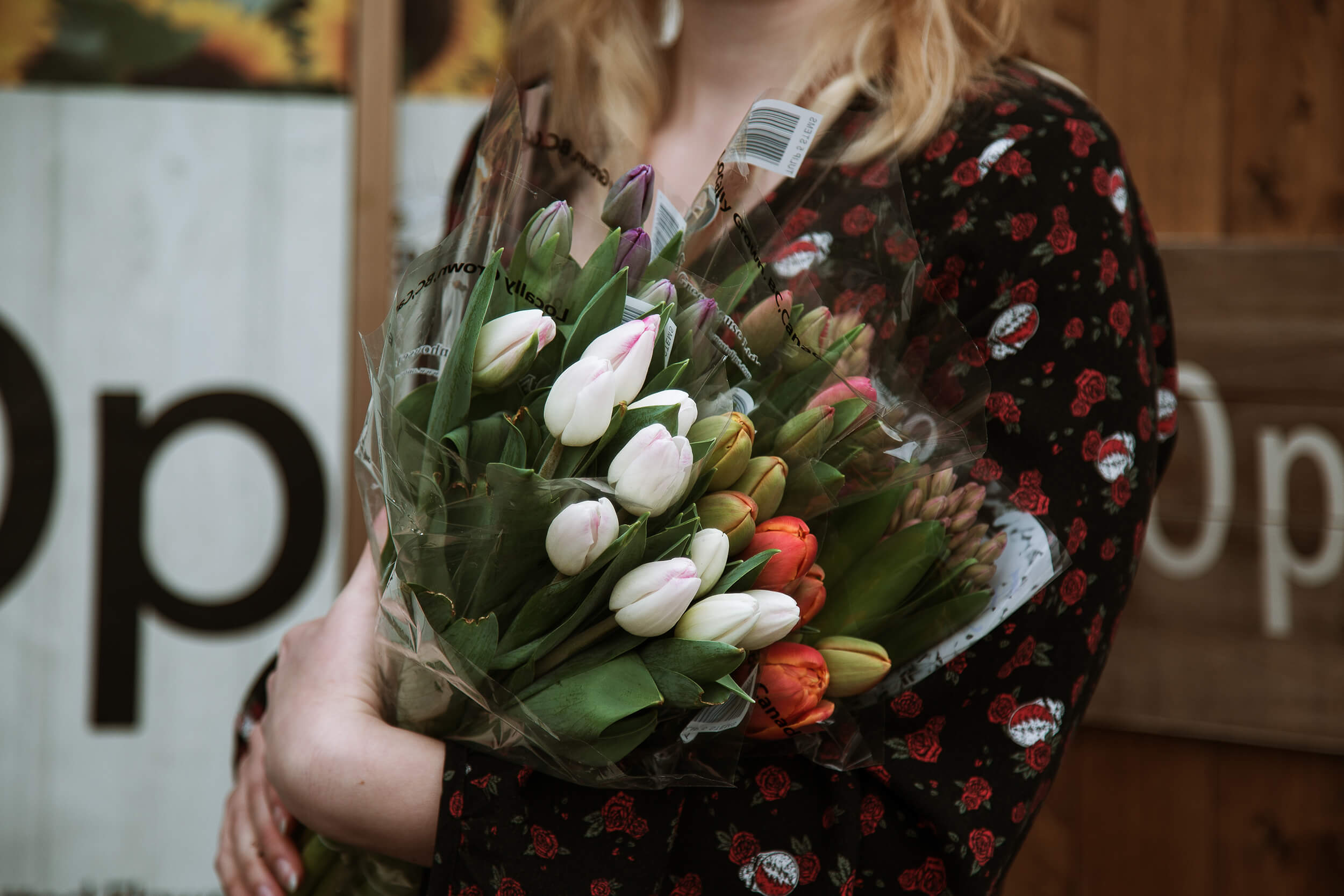 A woman holds a bouquet of beautiful Harrison tulips