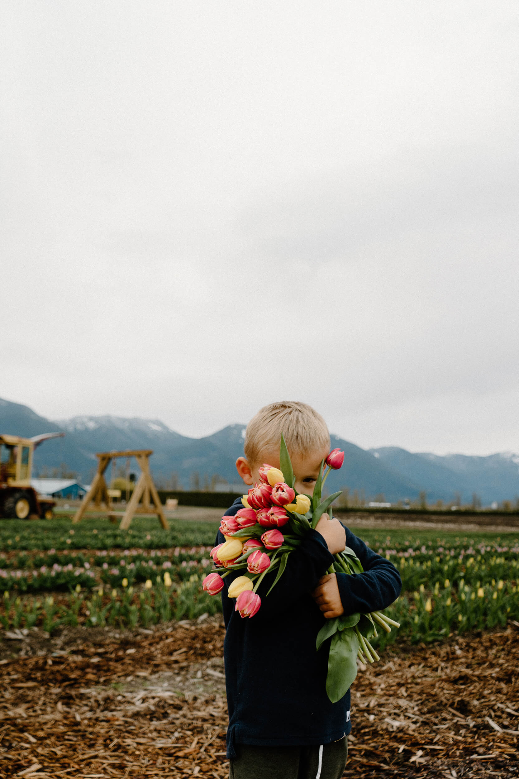 A child holds a bunch of tulips in front of their face, standing in front of a field of tulips