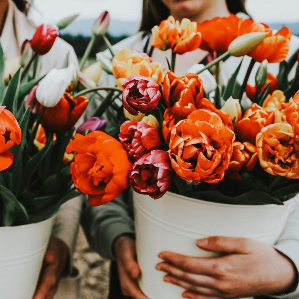 Two bouquets of orange and red flowers in a white tin bucket