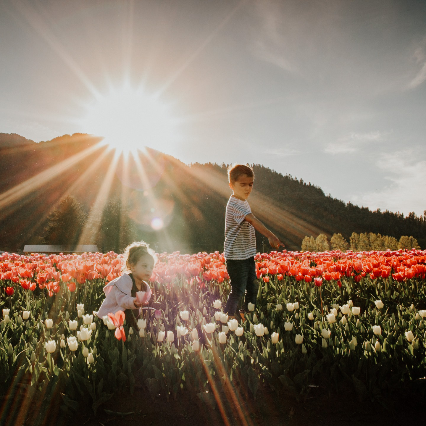 Botanica Flower Festival