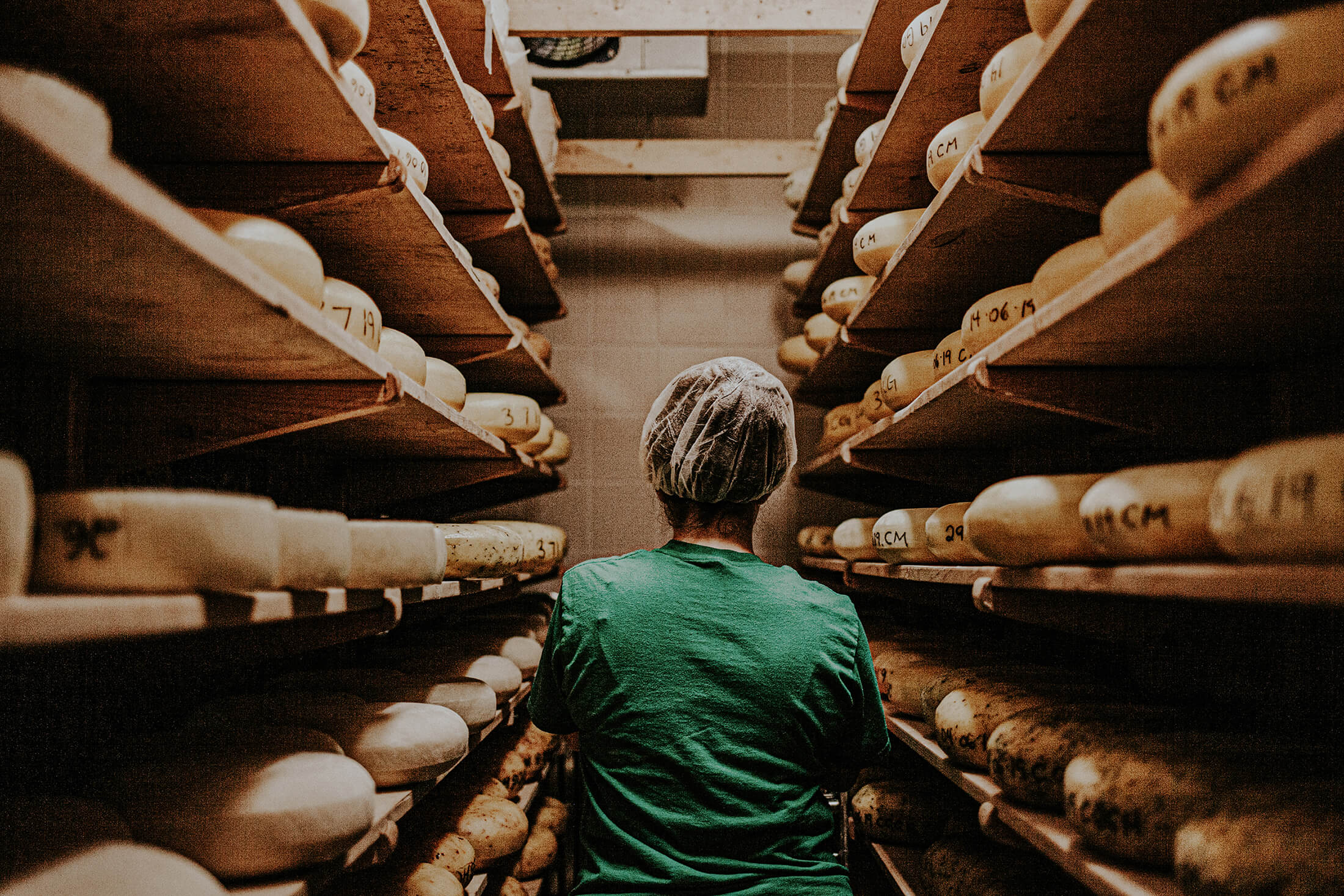 A woman walks between shelves of cheese wheels.