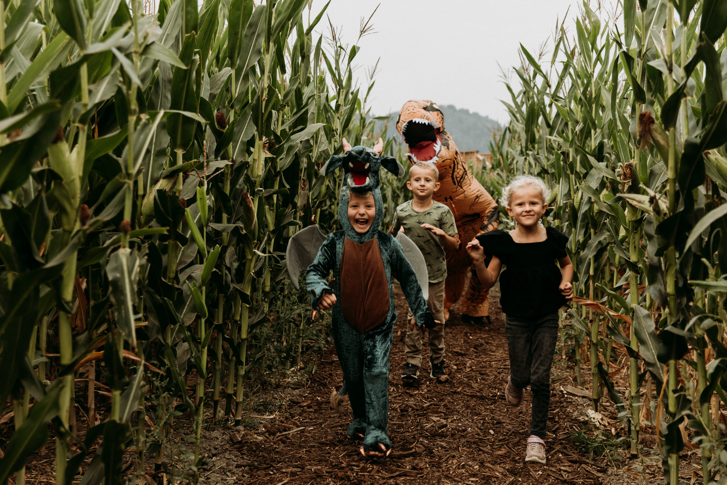 kids run in corn maze