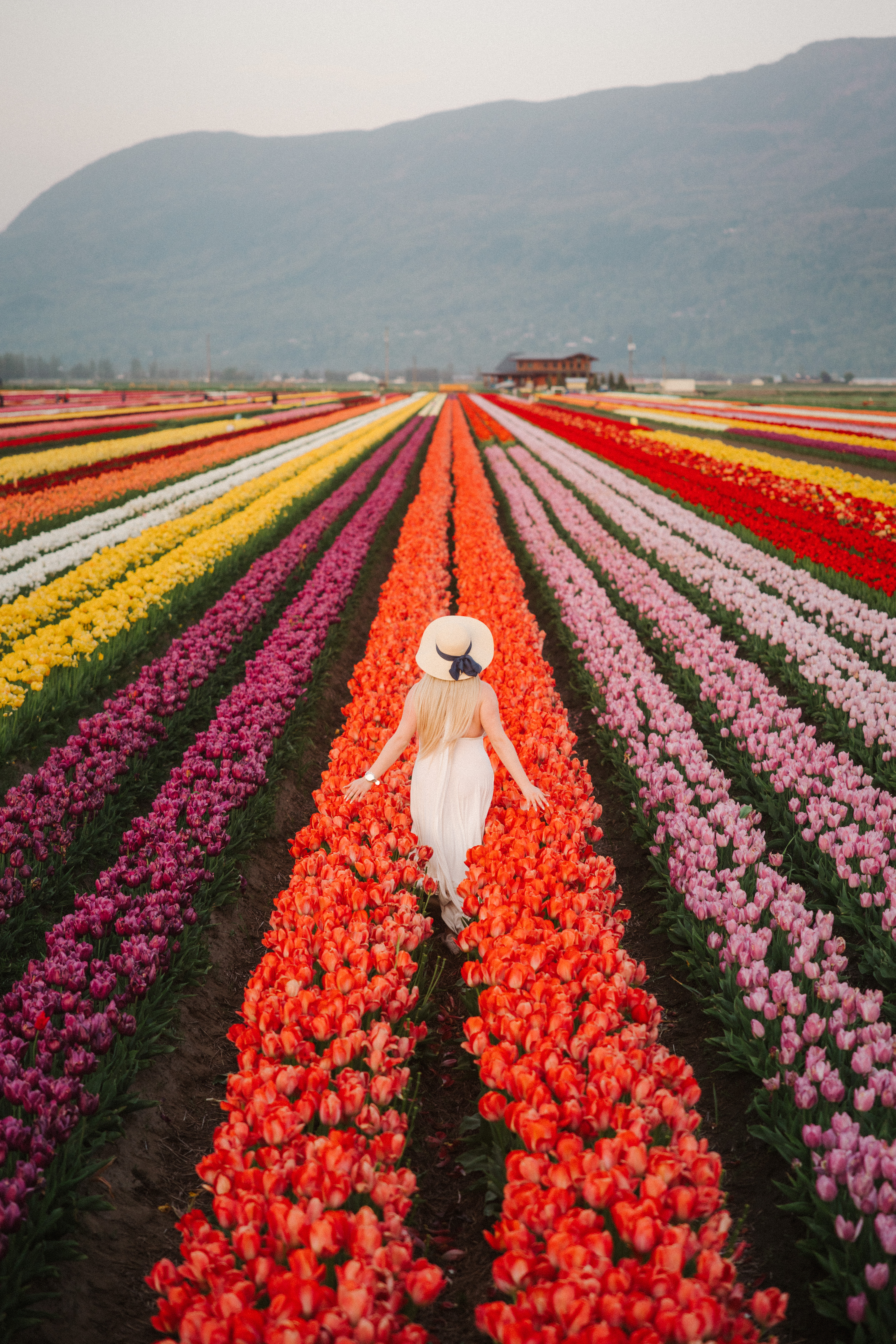 Lakeland Flowers