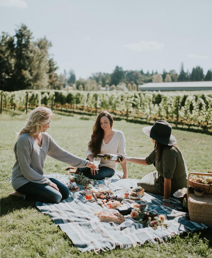 Friends Having A Picnic Vinyard