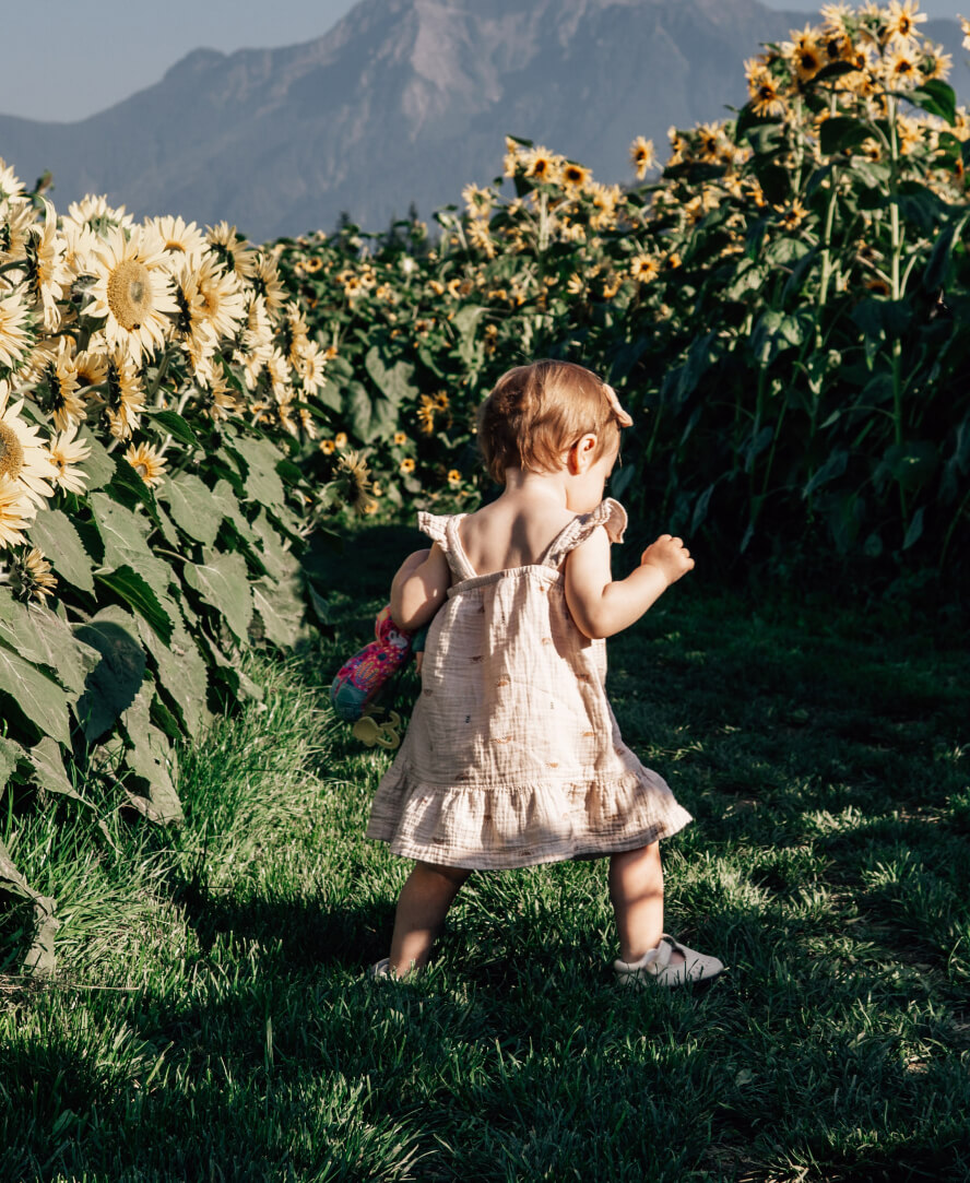 Harrison Child Walks In Harrison Sunflower Festival With Mountain In The Background