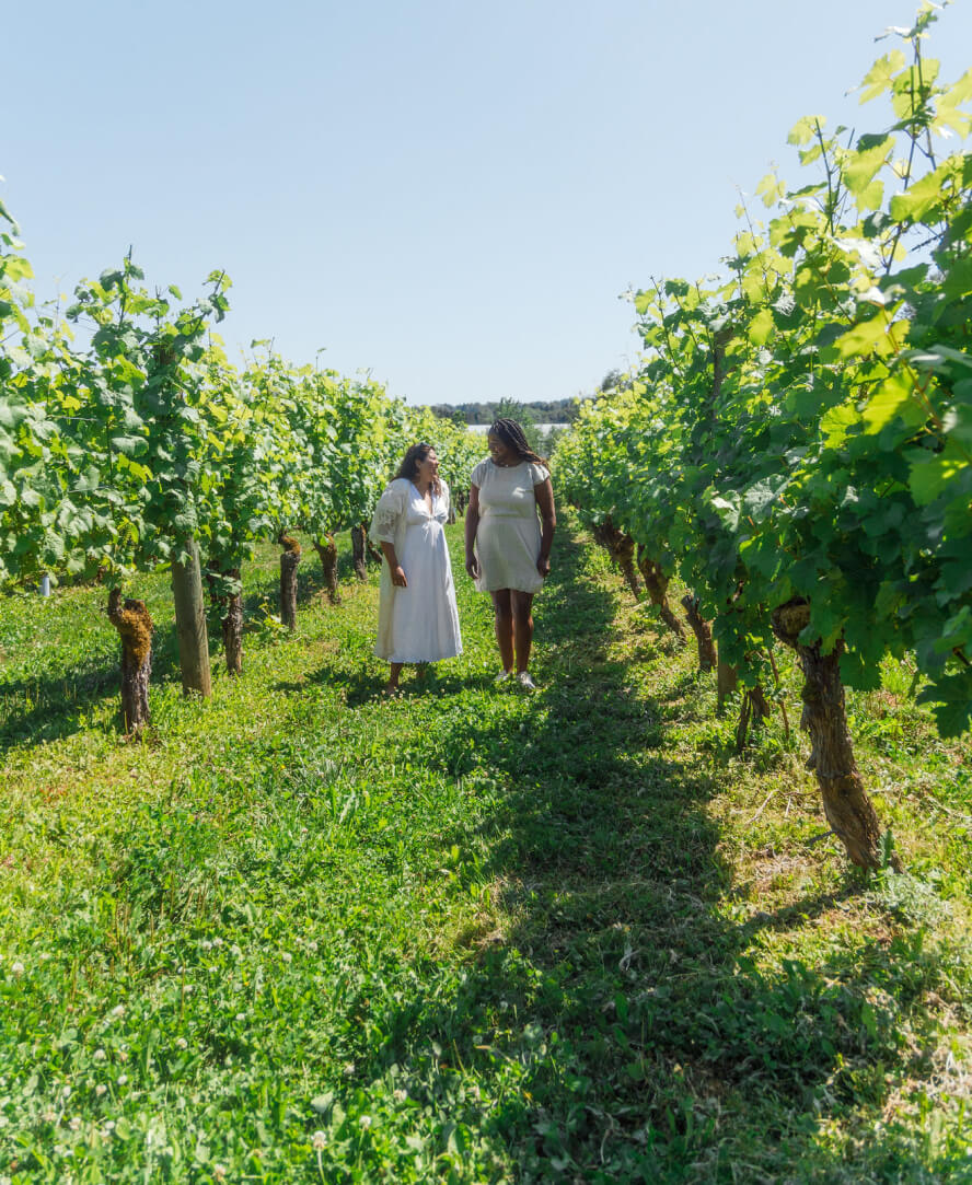 Langley Two Women Walk In A Vineyard