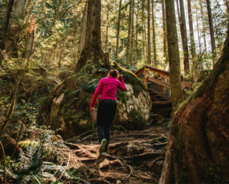 Mission Woman Hiking In the Woods