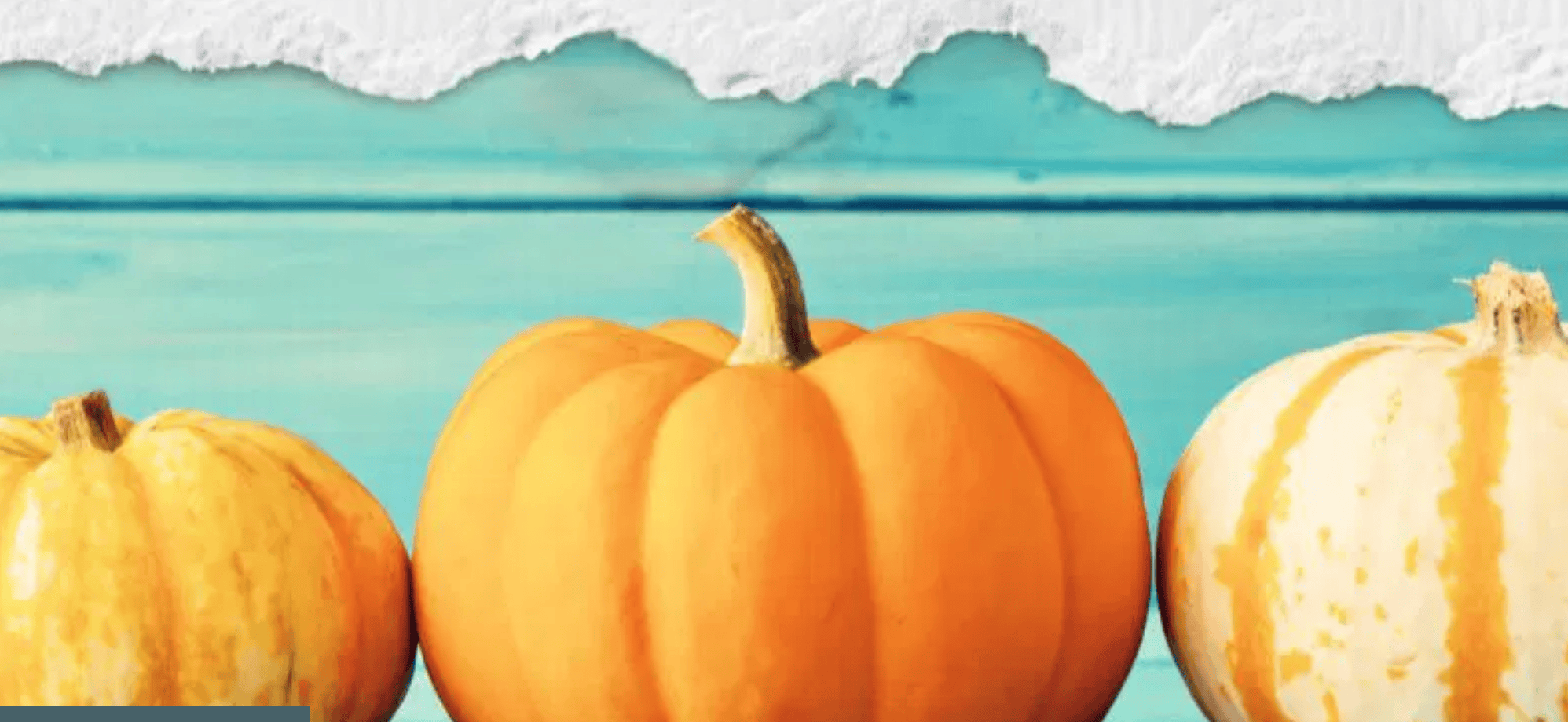 Pumpkins over a blue backdrop