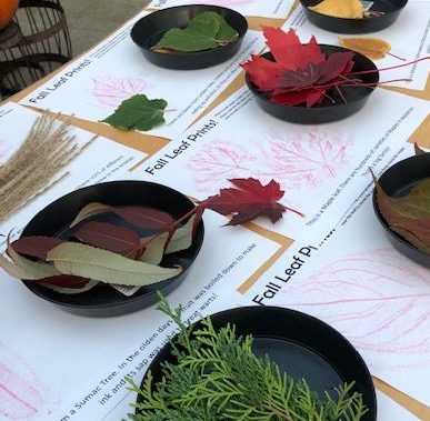bowls on a table filled with leafs