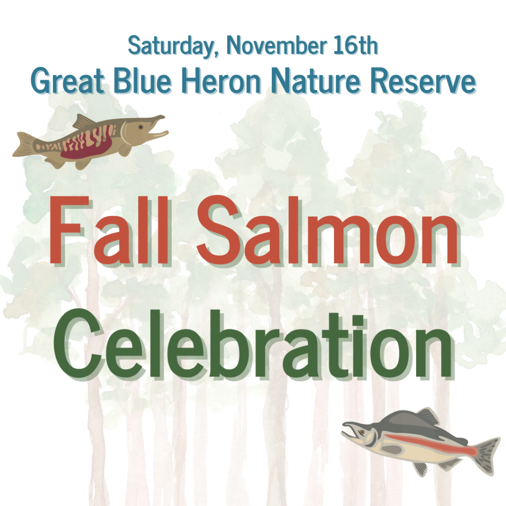 Fall Salmon Celebration