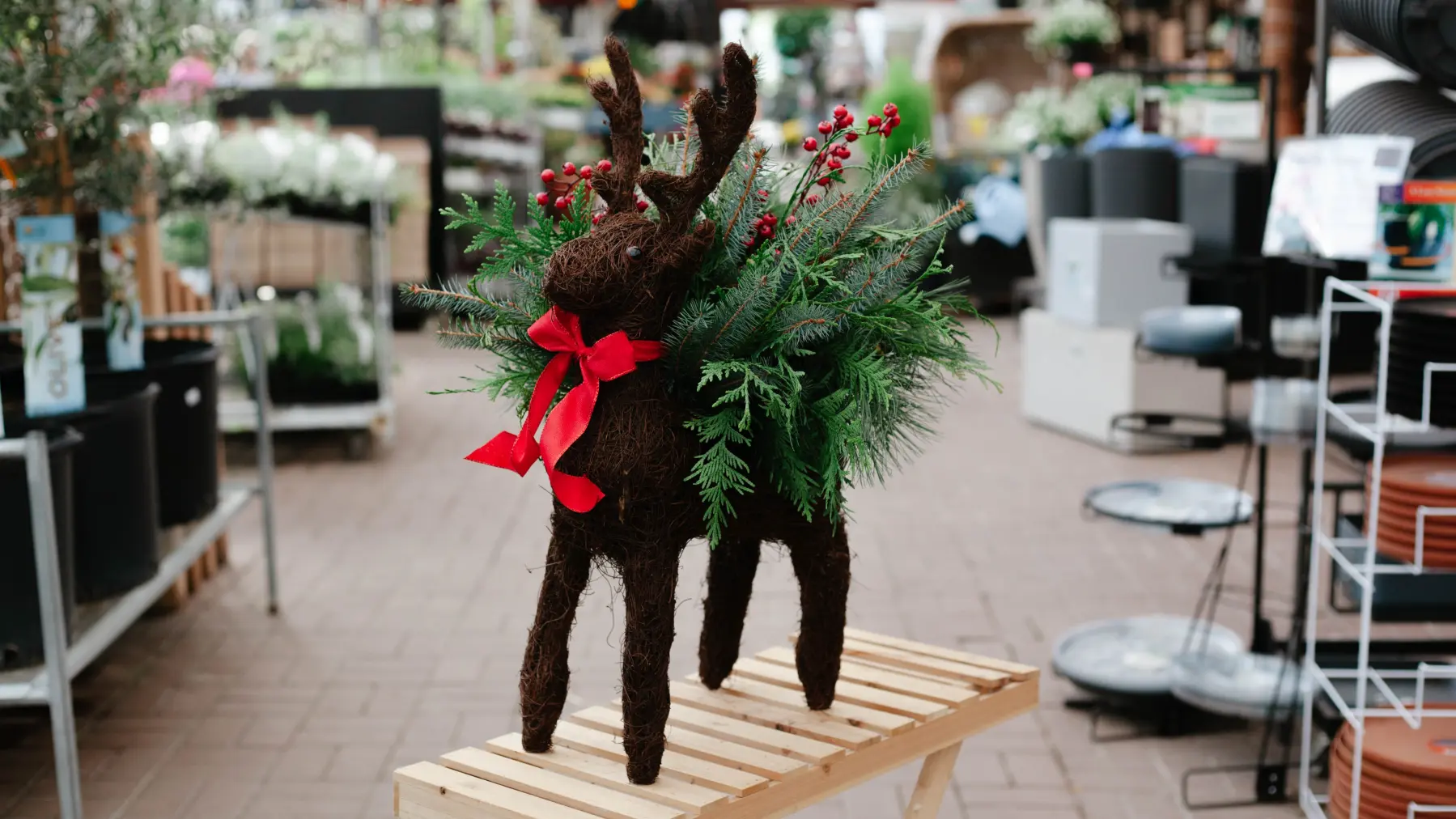 Santa’s Reindeer Winter Planter