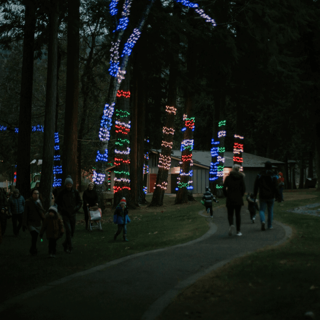 Chilliwack Cultus Lake Christmas Min