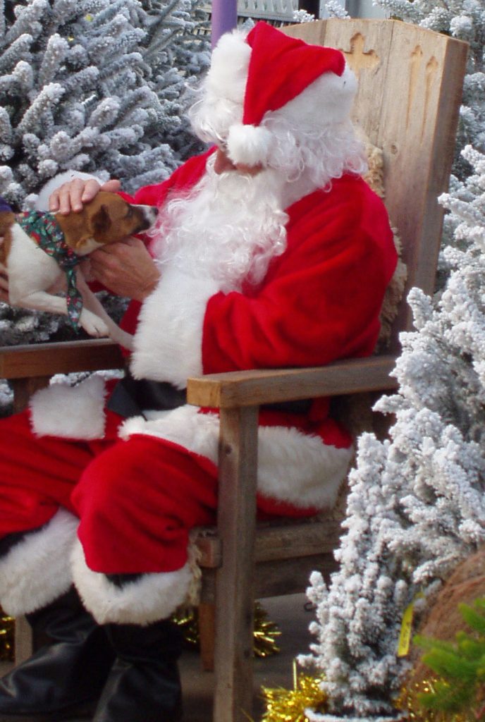 Santa Claus with dog