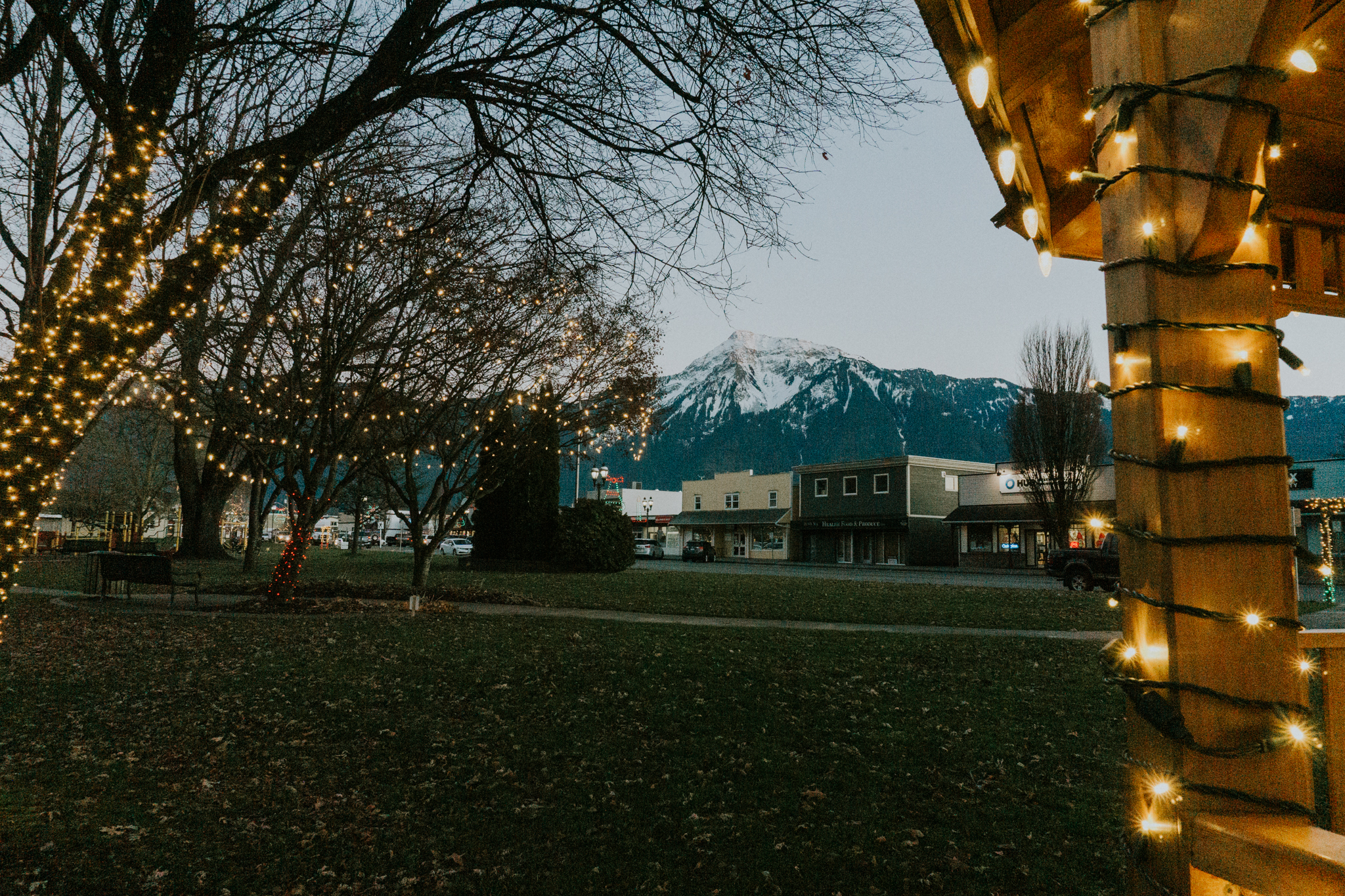 Winter Night Lights