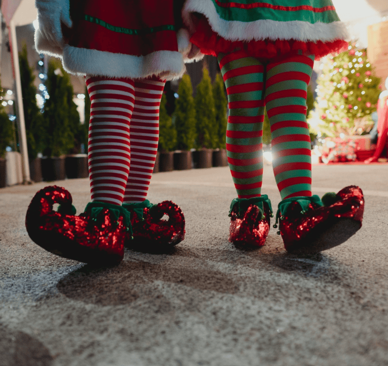Elf Shoes