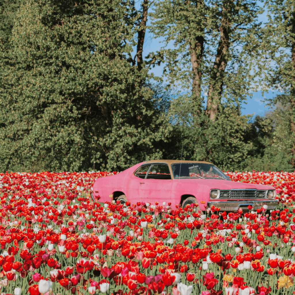 Botanica Tulip Festival