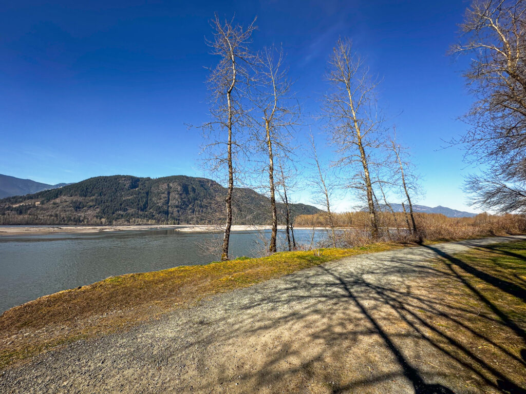 Canyon To Coast Marathon