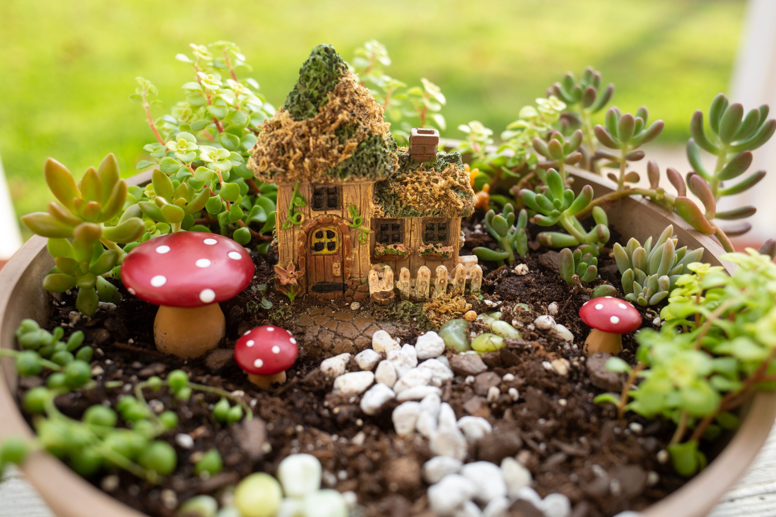 Fairy Garden Workshop