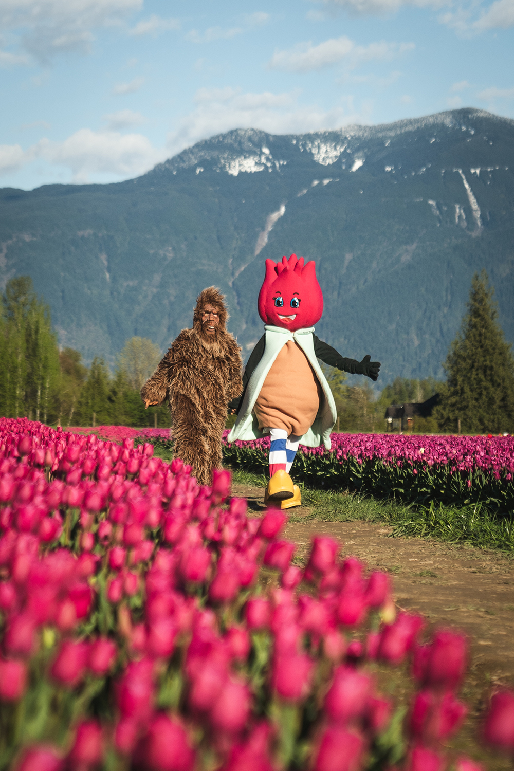 Harrison Tulip Fest
