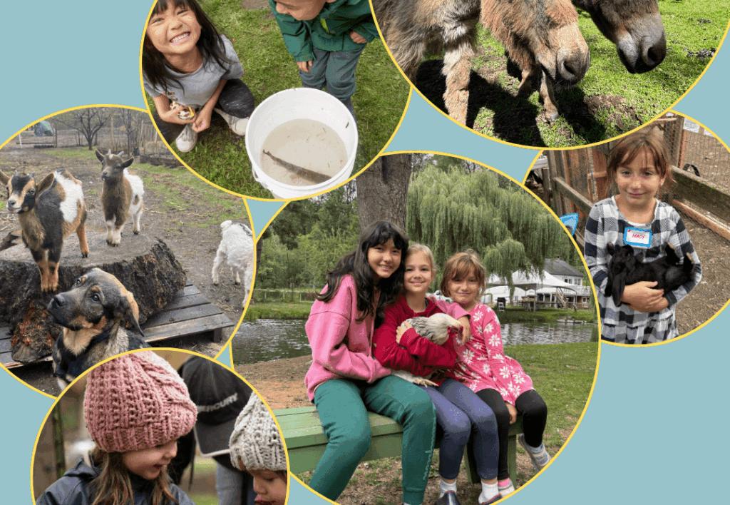 Friendly Farm Animals Day Camp