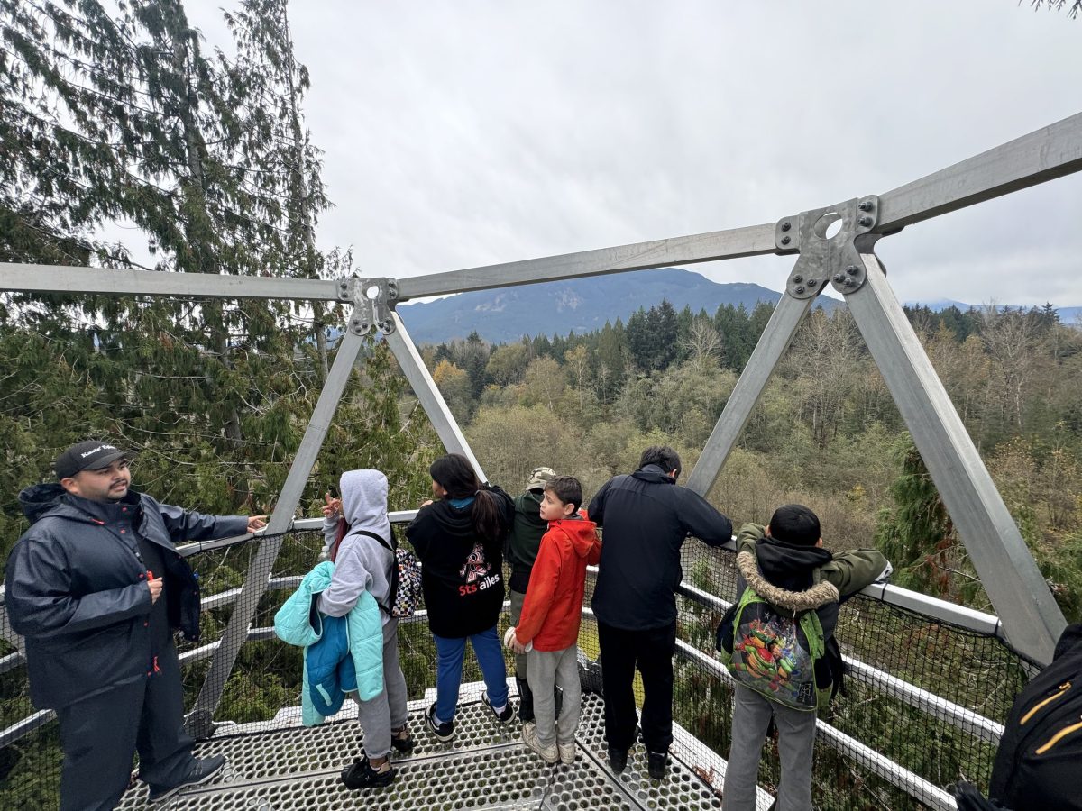 Stsailes Eagle Viewing Tower 1200x900