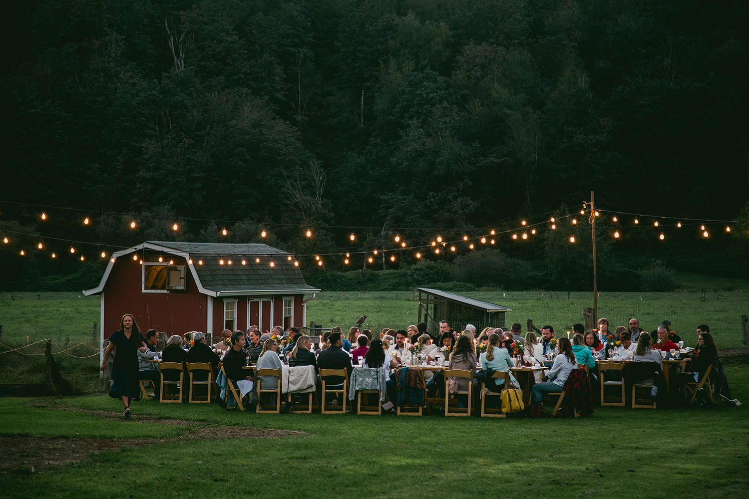 Summer Harvest Series: At the Cheesemaker's Table