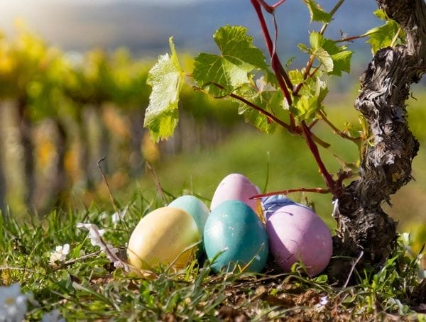 Annual Easter Egg Hunt