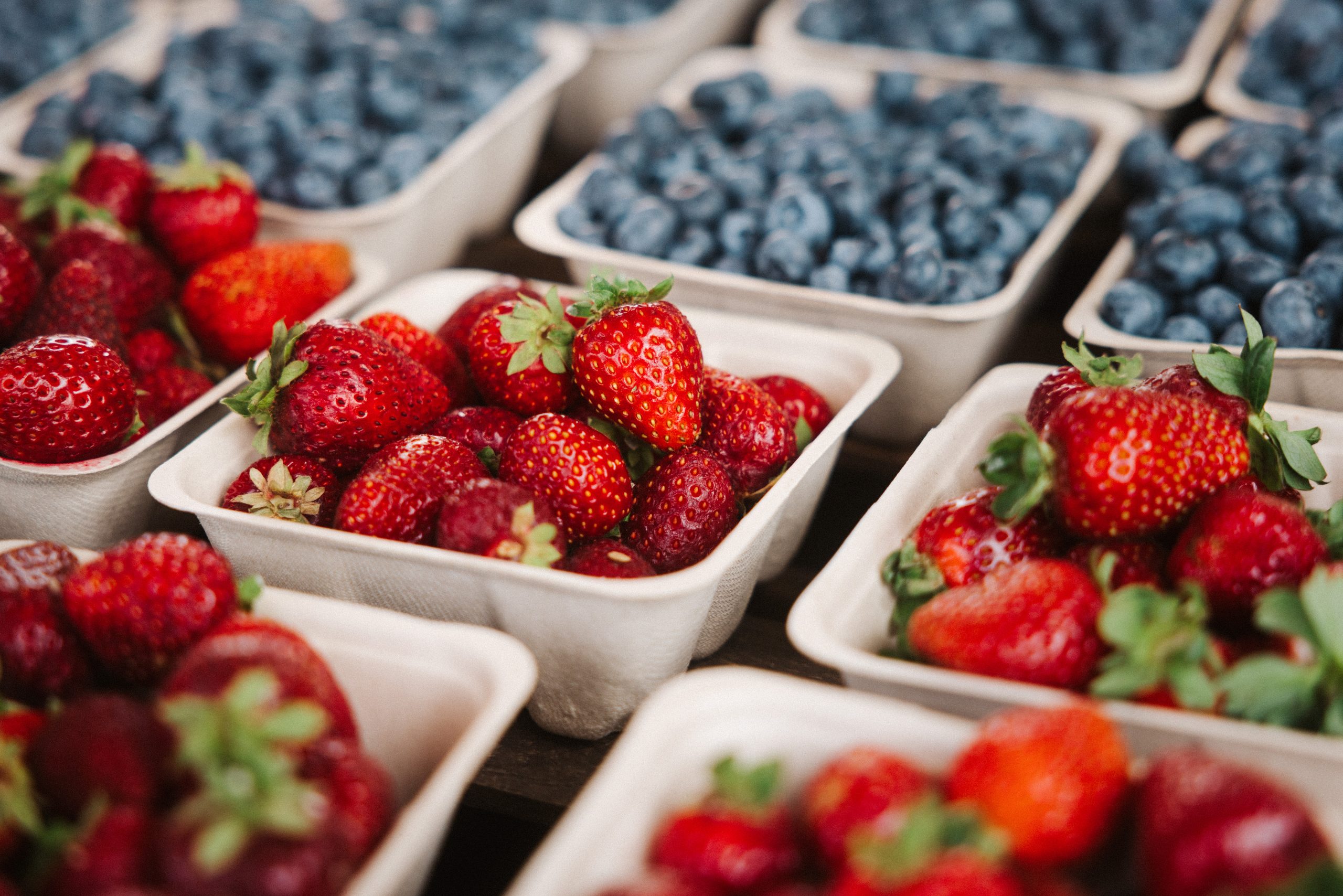 Berry Fest