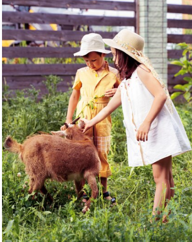 Silverbrook Farm